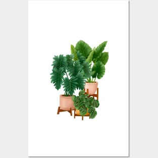 House plants collection 40.1 Posters and Art